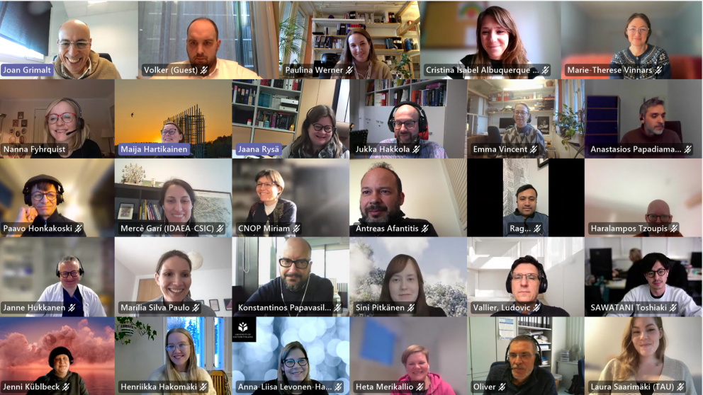 Screenshot of NEMESIS participants in an online meeting