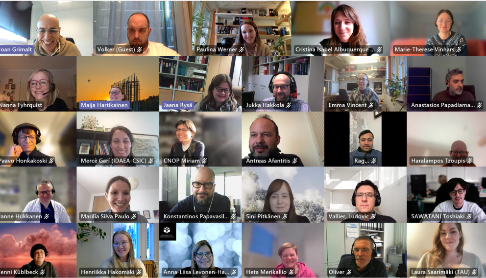 Screenshot of NEMESIS participants in an online meeting